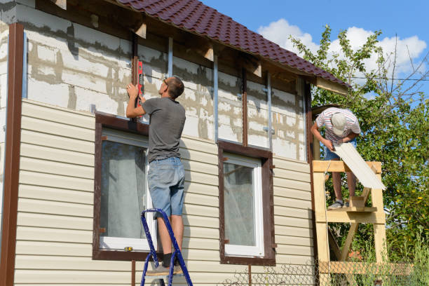 Professional Siding in Albion, NY