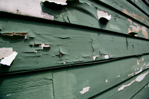 Affordable Siding Repair and Maintenance Services in Albion, NY